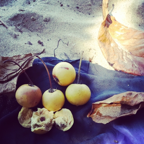 InstagramCapture_c99d6a77-bf95-4064-9953-1a8a412c3d2b