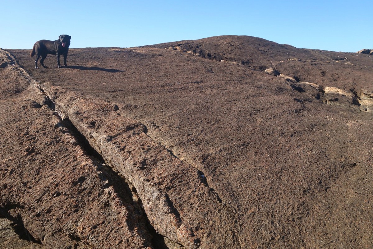 DSC02359_20160503_170049