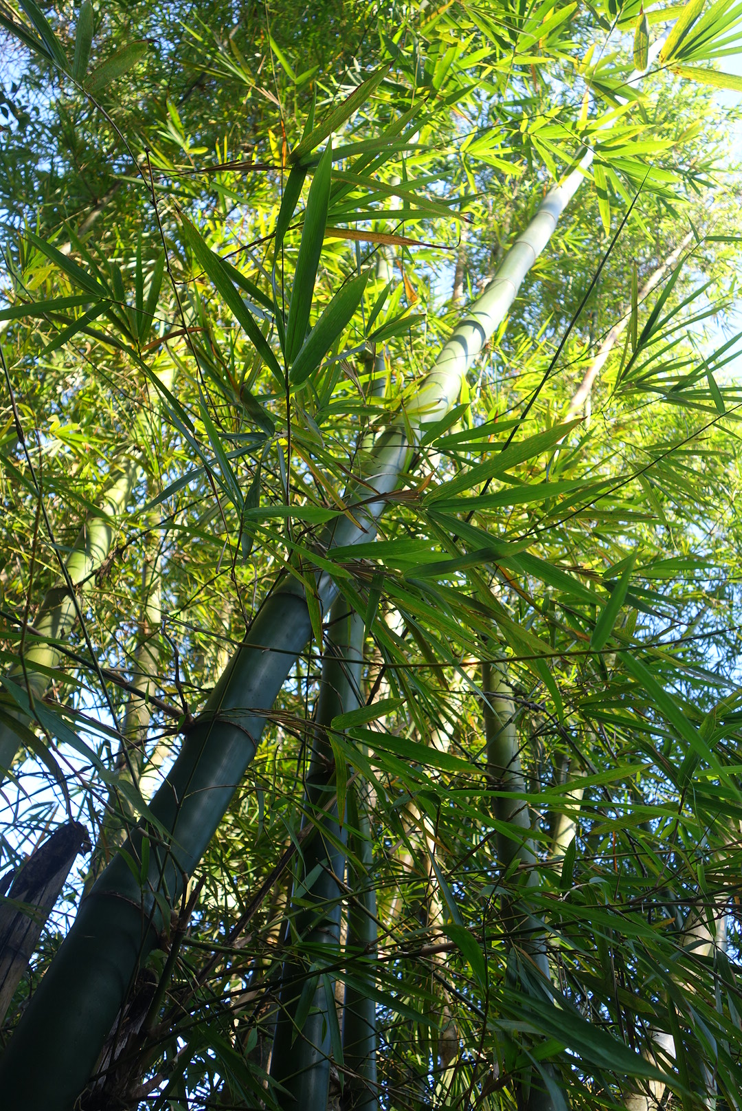 DSC02684_20160511_131429