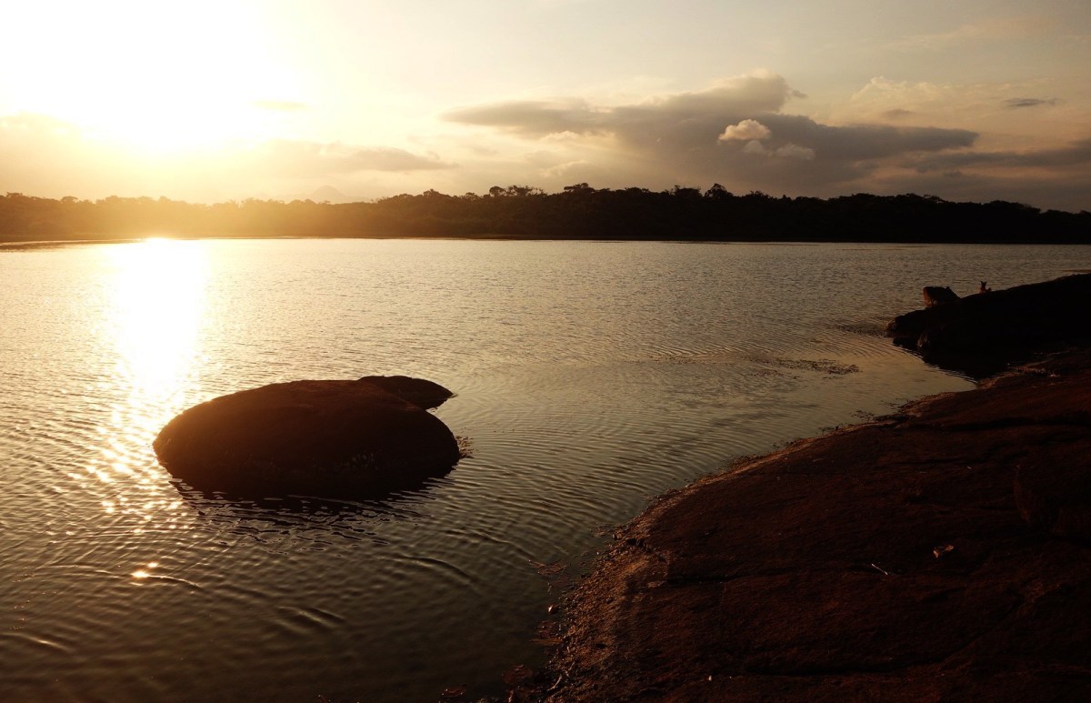 DSC02704_20160512_175745