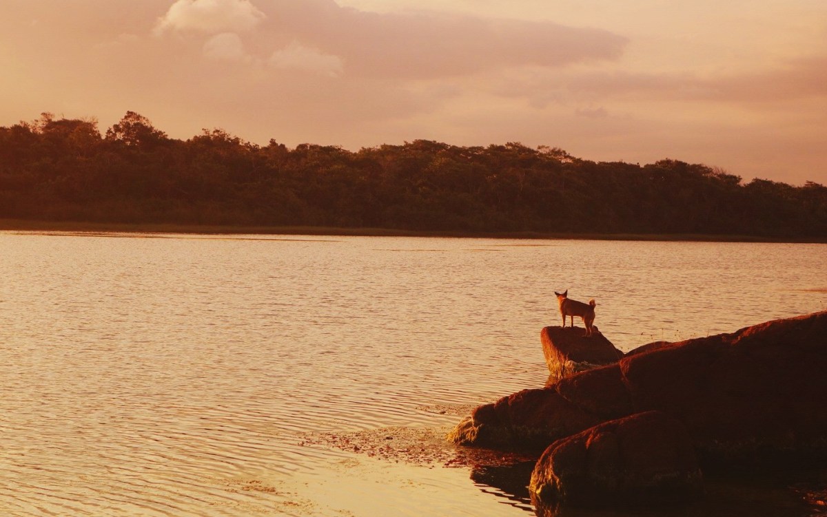 DSC02705_20160512_175748 (2)