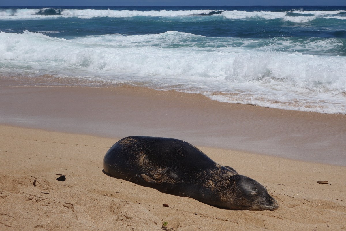 DSC05172_20160727_161355