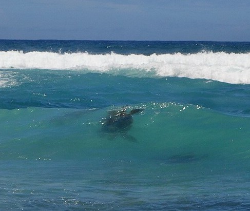 DSC05176_20160727_161354