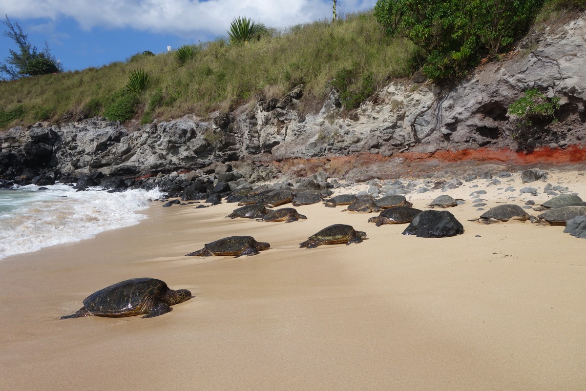 DSC05198_20160727_161359