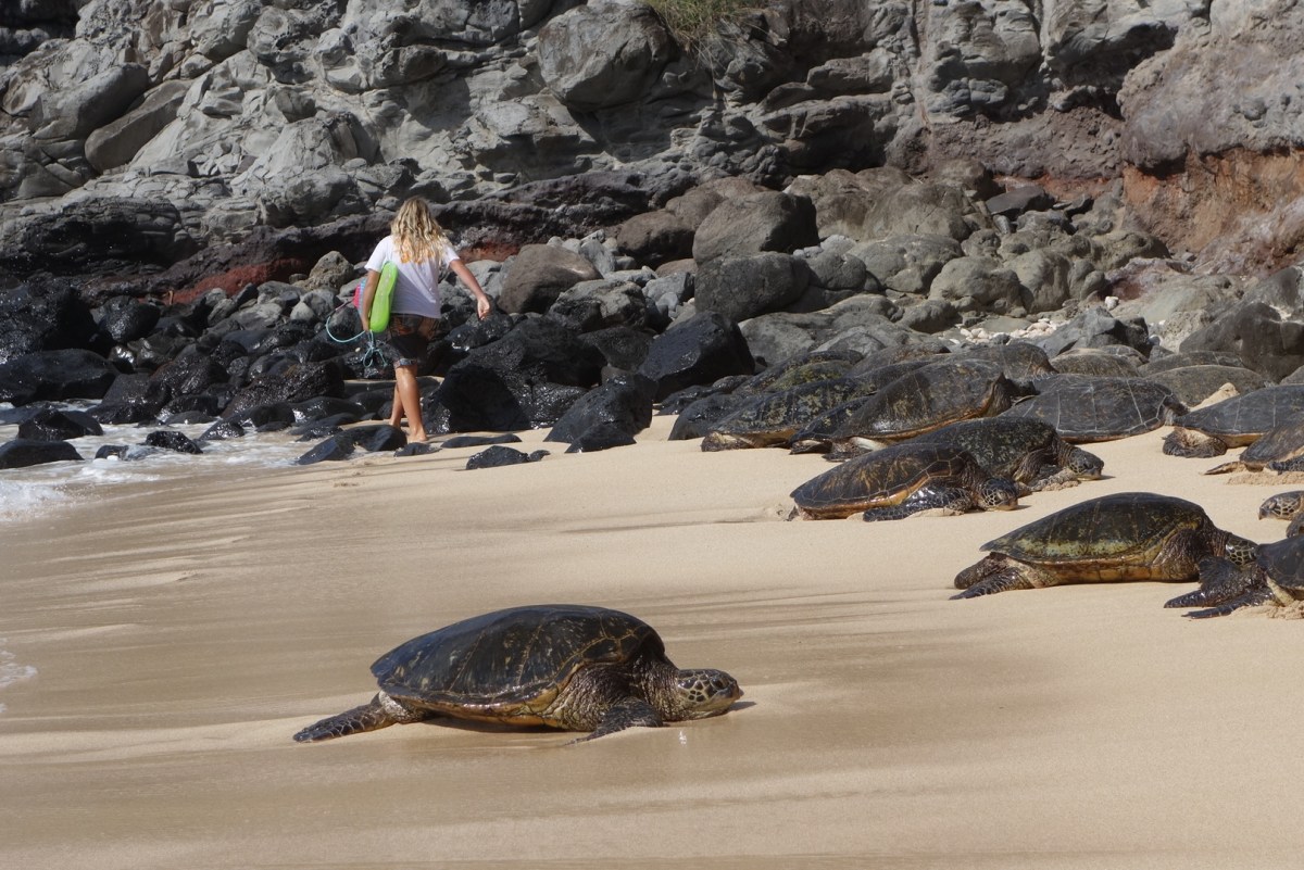 DSC05204_20160727_161356