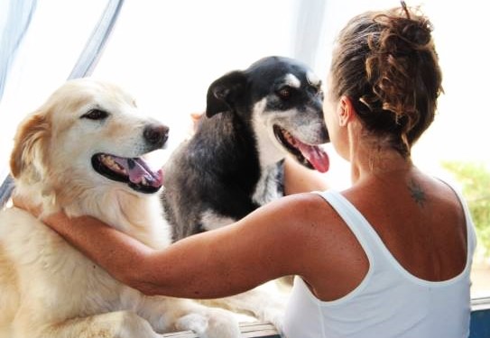 10711633_10204934033936334_358829110_n